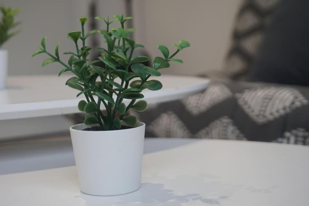 Cosy T2 Wifi Parking Proche Gare Centre Apartment *